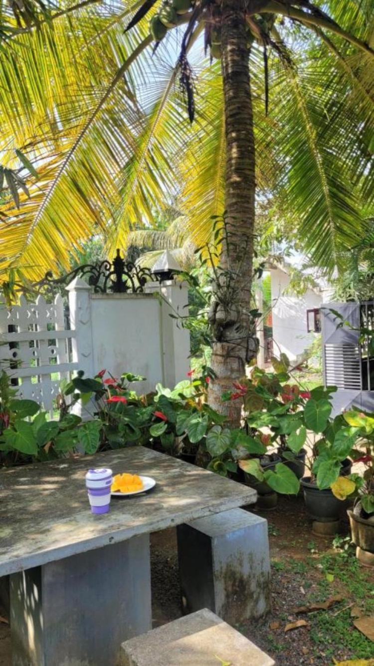 Mirewon Guest Hotel Weligama Exterior photo
